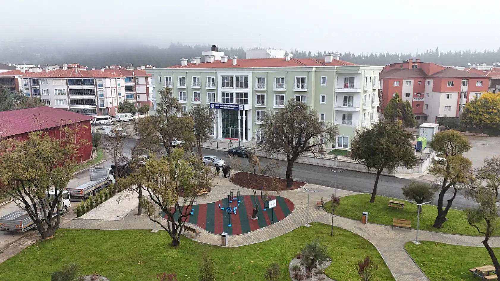 Muğla'da Yaş Almış Çınarlara Yeni Bir Yuva: Başvurular Başladı