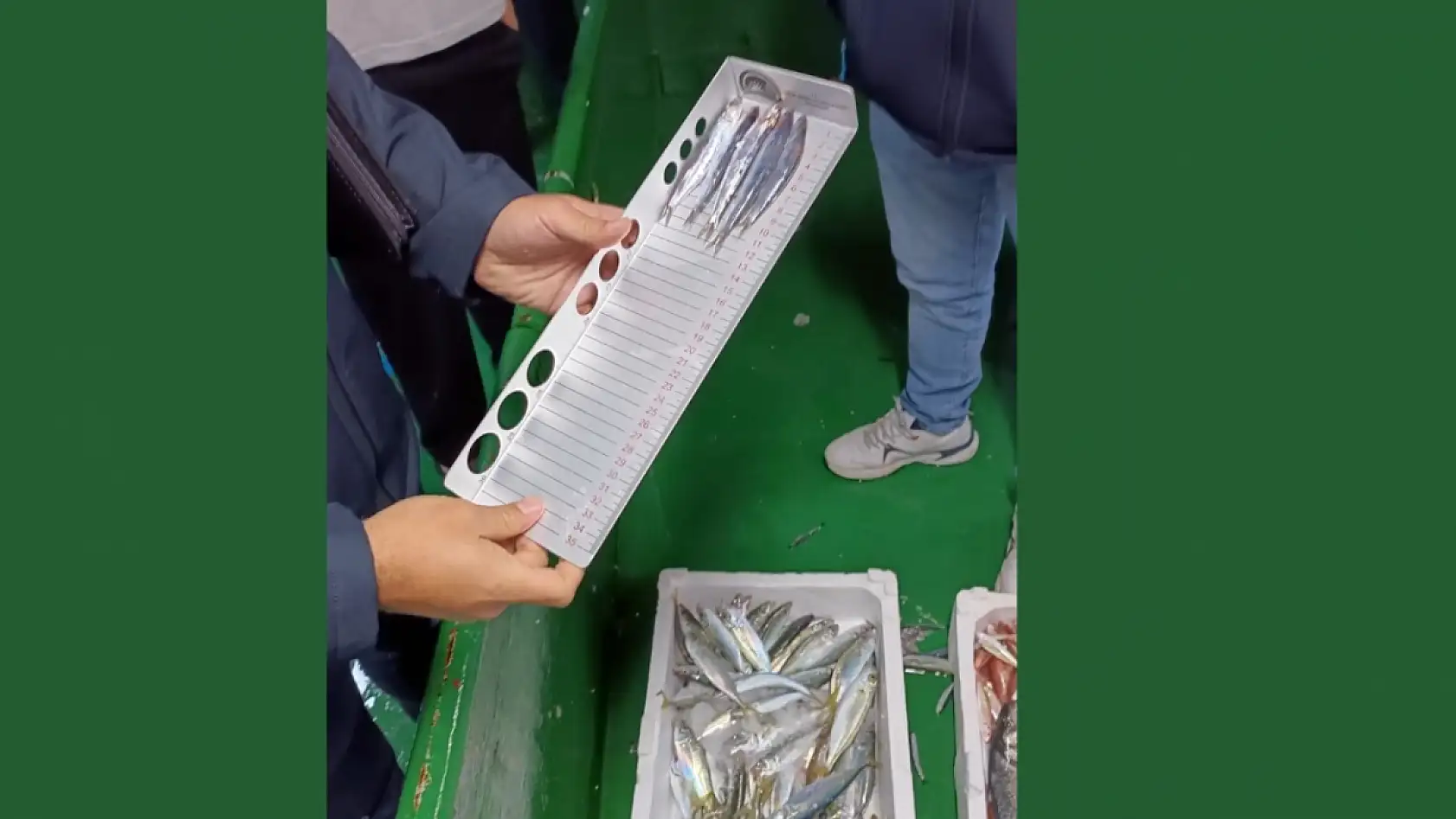 Reis 48 Kontrol Gemisi hamsi denetiminde