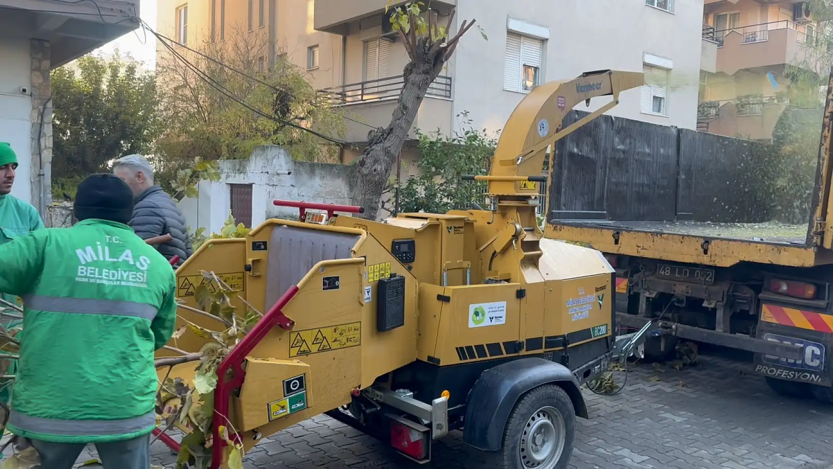 Milas Belediyesi dal öğütme makinesini hizmete sundu