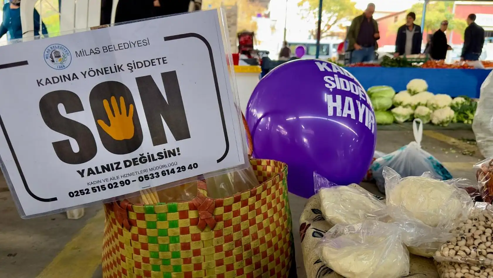 'Kadına Şiddete Son' Diyerek Mor Balon Dağıttılar