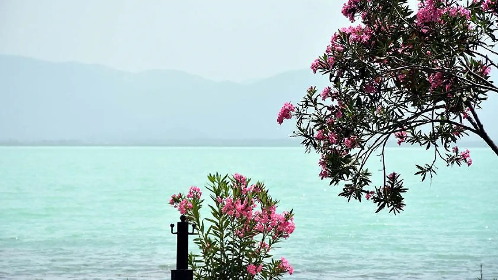 Muğla ve İlçelerinin 19 Mayıs Hava Durumu