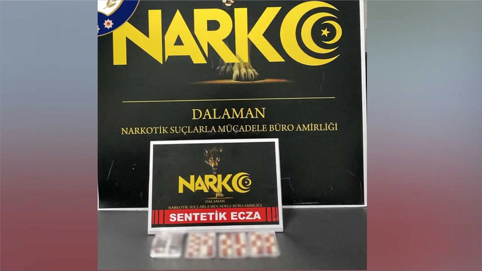 Muğla'da zehir tacirlerine 12 ayrı operasyon:3 tutuklama