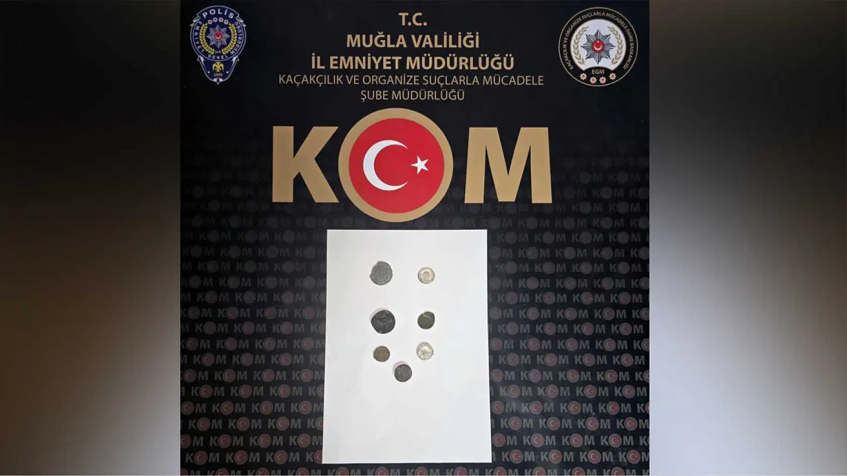 Dalaman'da tarihi eser operasyonunda 7 tutuklama