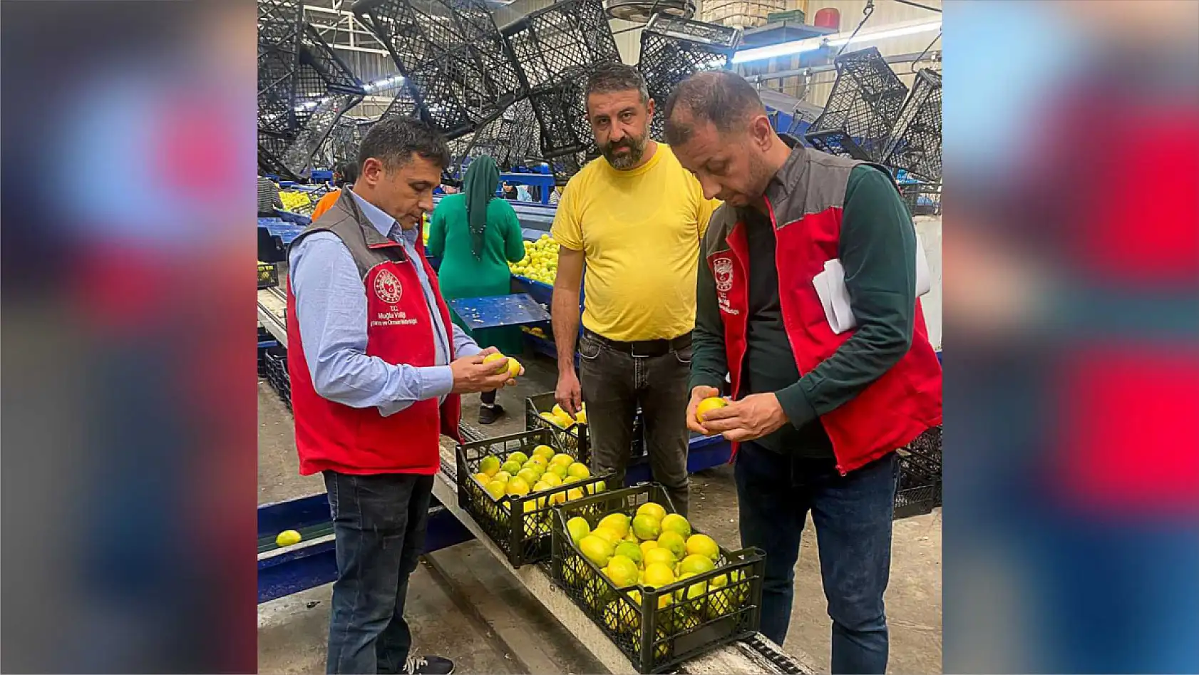 Ortaca'da üretilen ürünler tüm dünyaya ihraç oluyor