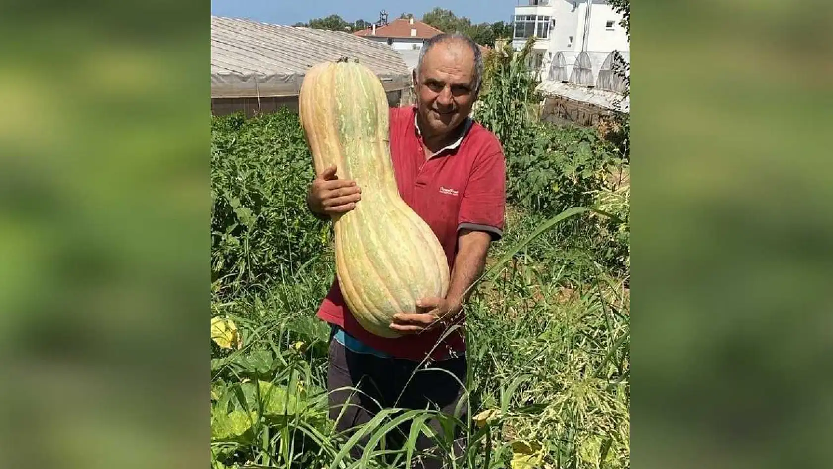 Fethiyeli Üreticinin Yetiştirdiği Dev Kabak Görenleri Şaşırttı