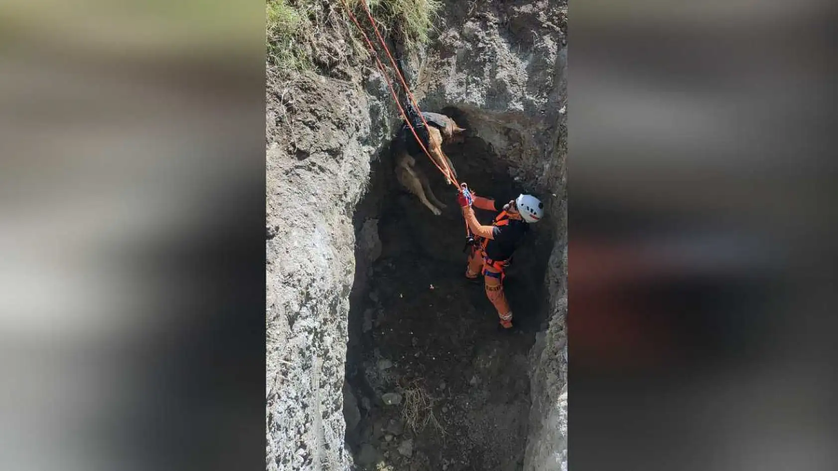 Datça'da kuyuya düşen köpek MAG-AME ekibince kurtarıldı