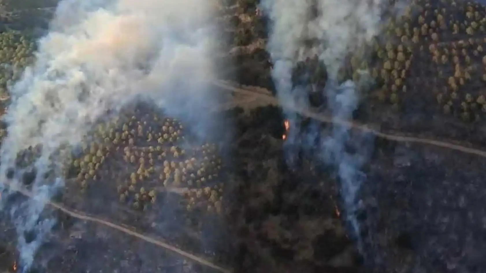Ziraat alanında başlayan yangın ormana sıçradı