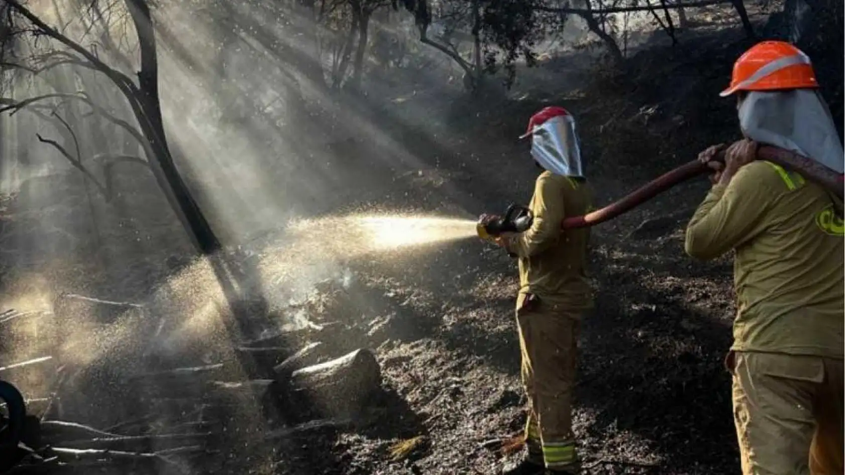 Seydikemer Saklıkent'te Çıkan Yangın Büyümeden Kontrol Altına Alındı