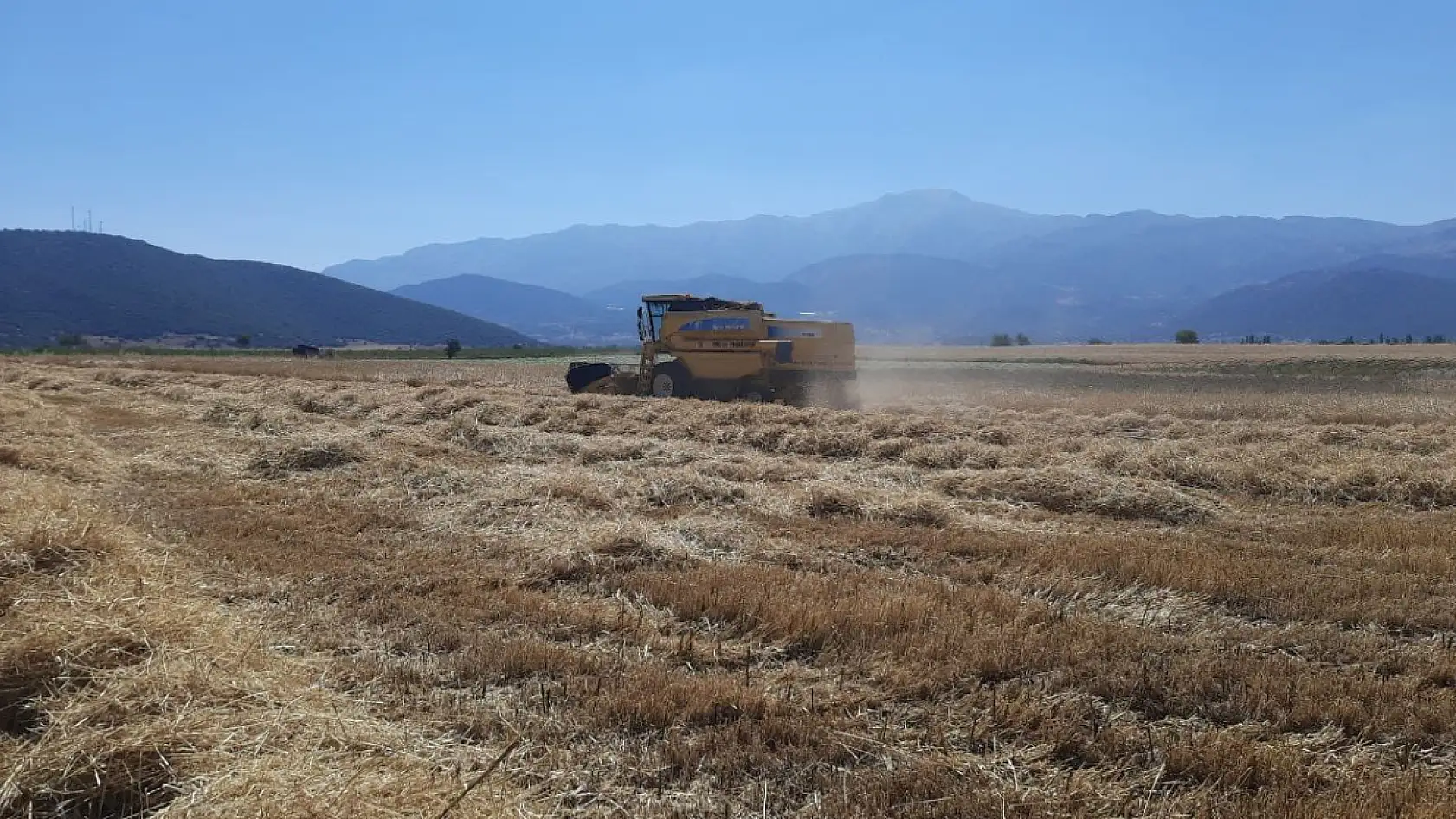 Yaylalarda Harman Hasadı Başladı