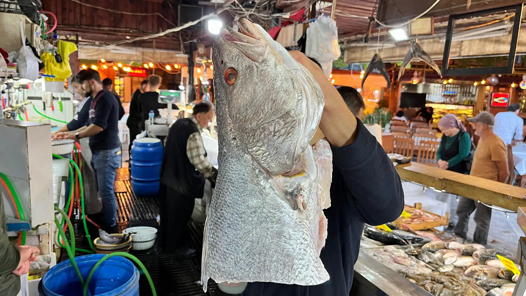 Fethiye Balık Pazarı'nda Granyöz (Kaya Levreği) Fiyatları Rekor Kırdı: Kilosu 800 TL!