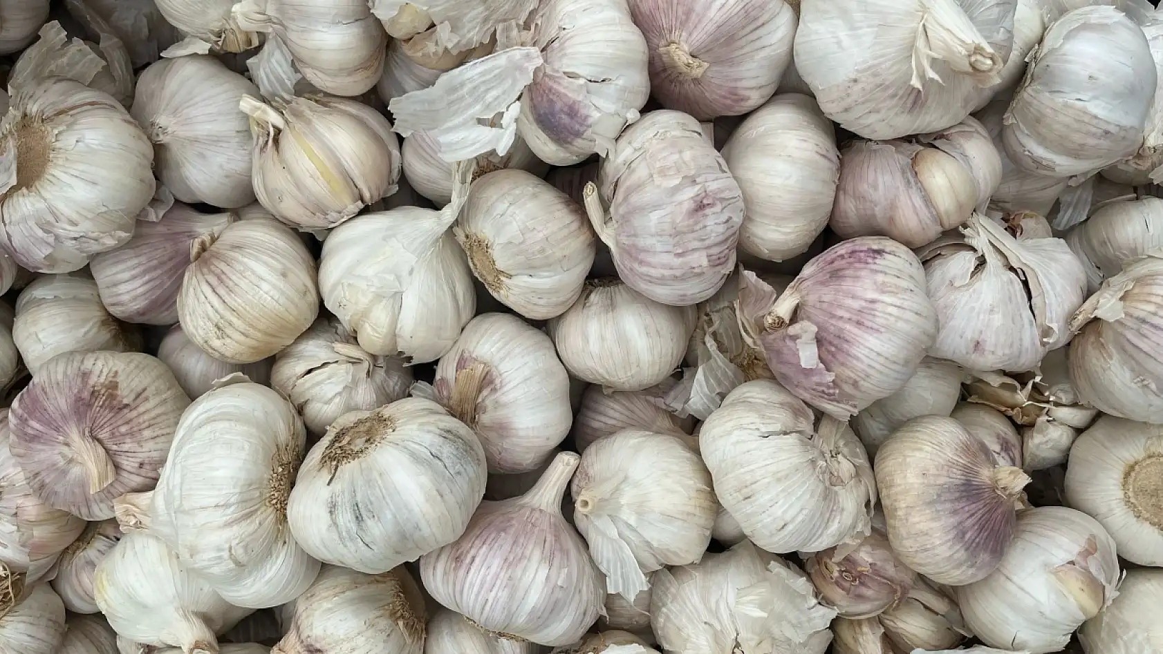 Fethiye Salı Pazarı'nda esnaf kardeşler işlerinden memnun