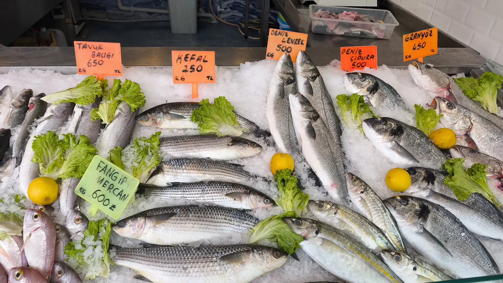 Fethiye'de balığın en taze, en uygun fiyatlı adresi: Doğan Seafood Balık Market