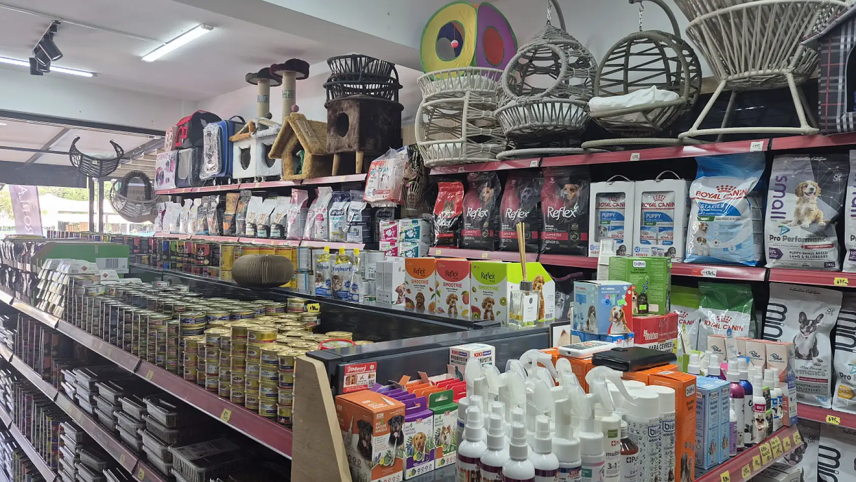 Fethiye'de Petshop Sahibi Fırat Gül: 'Sokak Hayvanları İçin Elimizden Geleni Yapıyoruz'