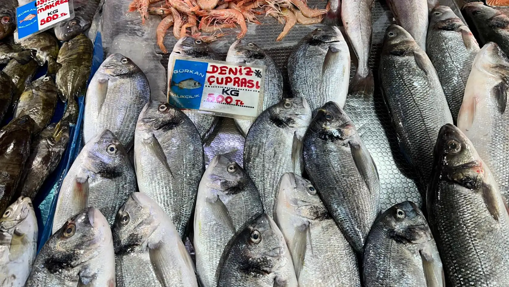 Fethiye Balık Pazarı'nda Güncel Fiyatlar! En Çok Levrek Revaçta
