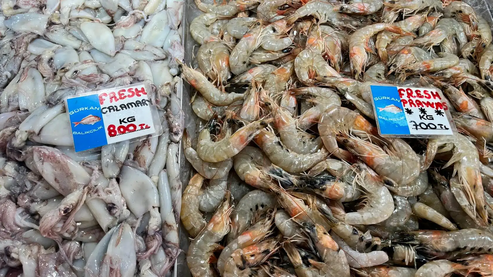 Fethiye Balık Pazarı'nda Güncel Fiyatlar! En Çok Levrek Revaçta