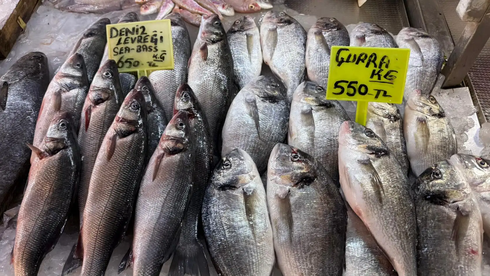 Fethiye Balık Pazarı'nda Güncel Fiyatlar! Levrek, Çupra, Sardalya