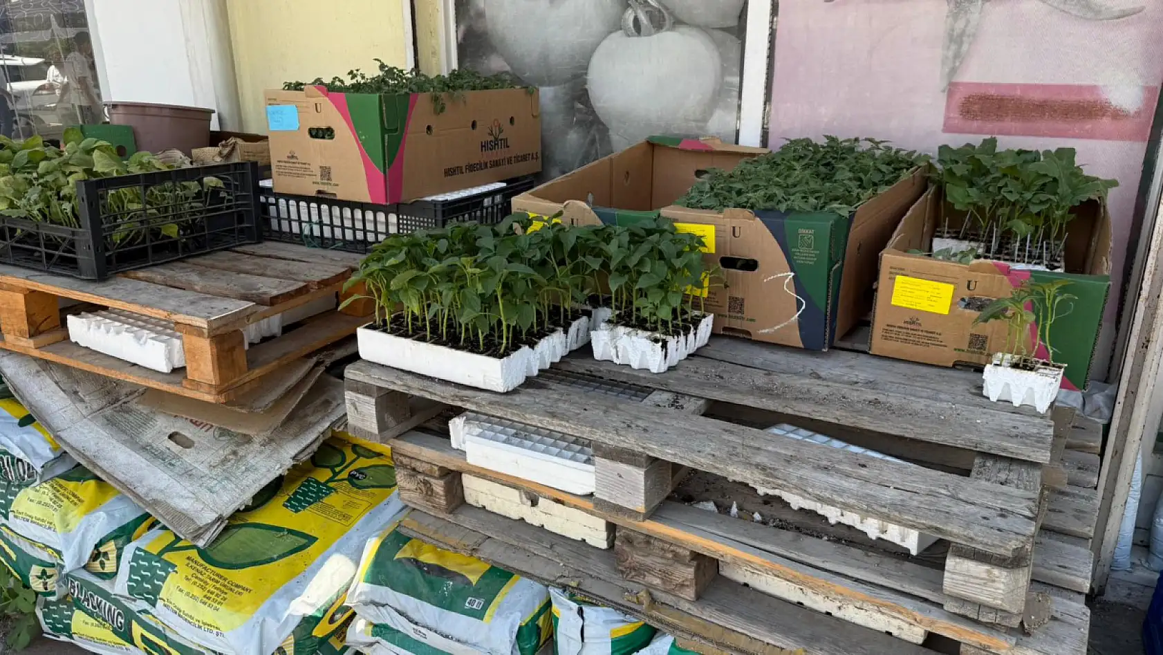 Seydikemer'de Tarım Üreticileri Yüksek Maliyetlerden Şikayetçi