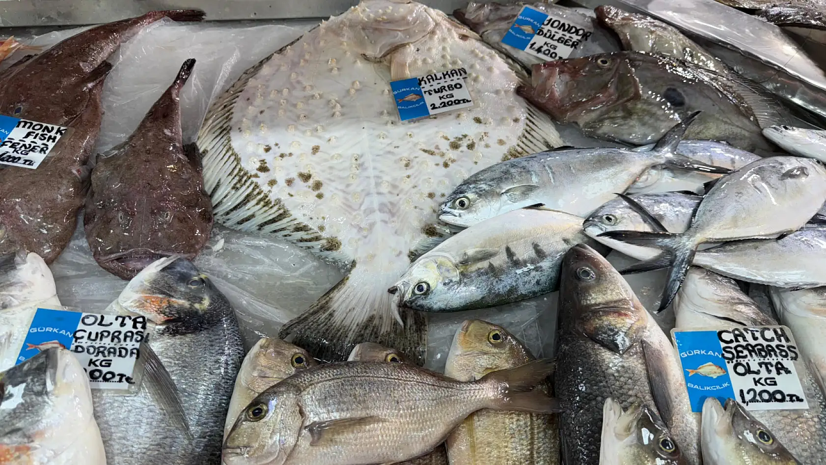 Fethiye Balık Pazarında Güncel Balık Fiyatları