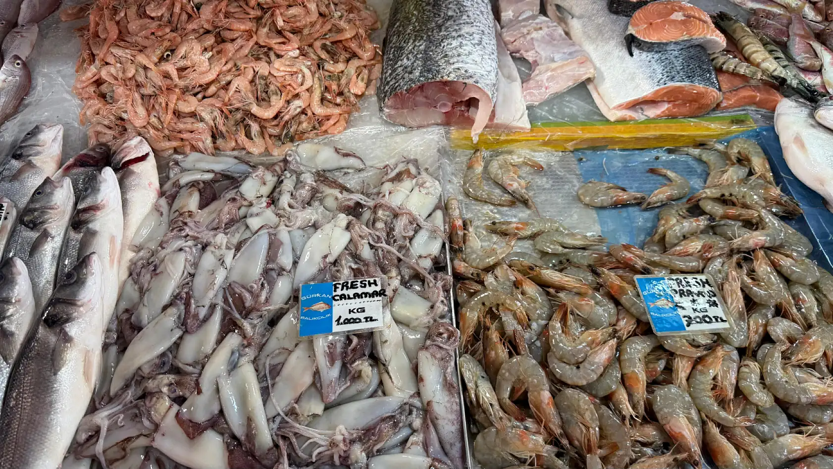 Fethiye Balık Pazarında Güncel Balık Fiyatları