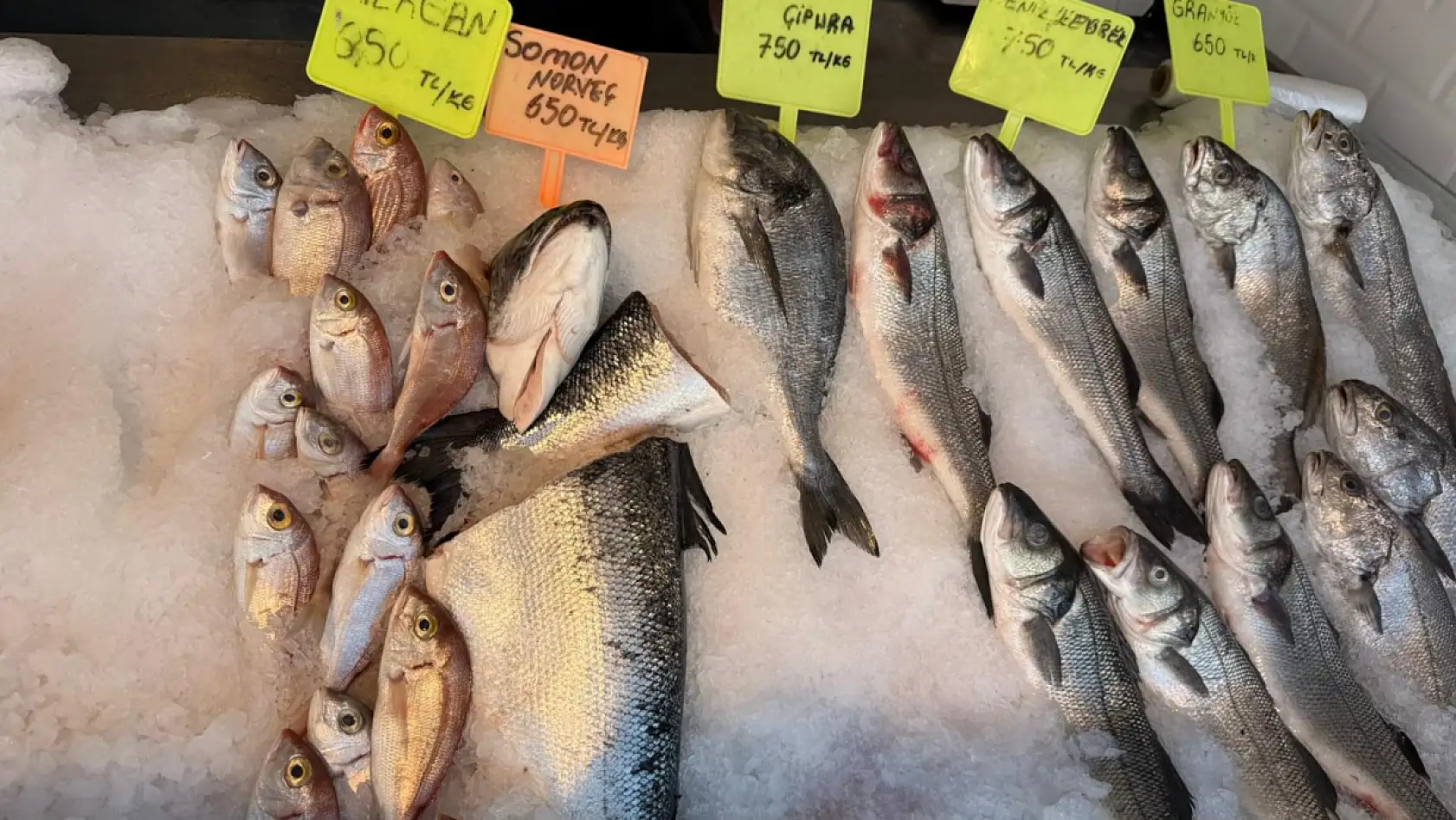 Fethiye'de güncel balık fiyatları