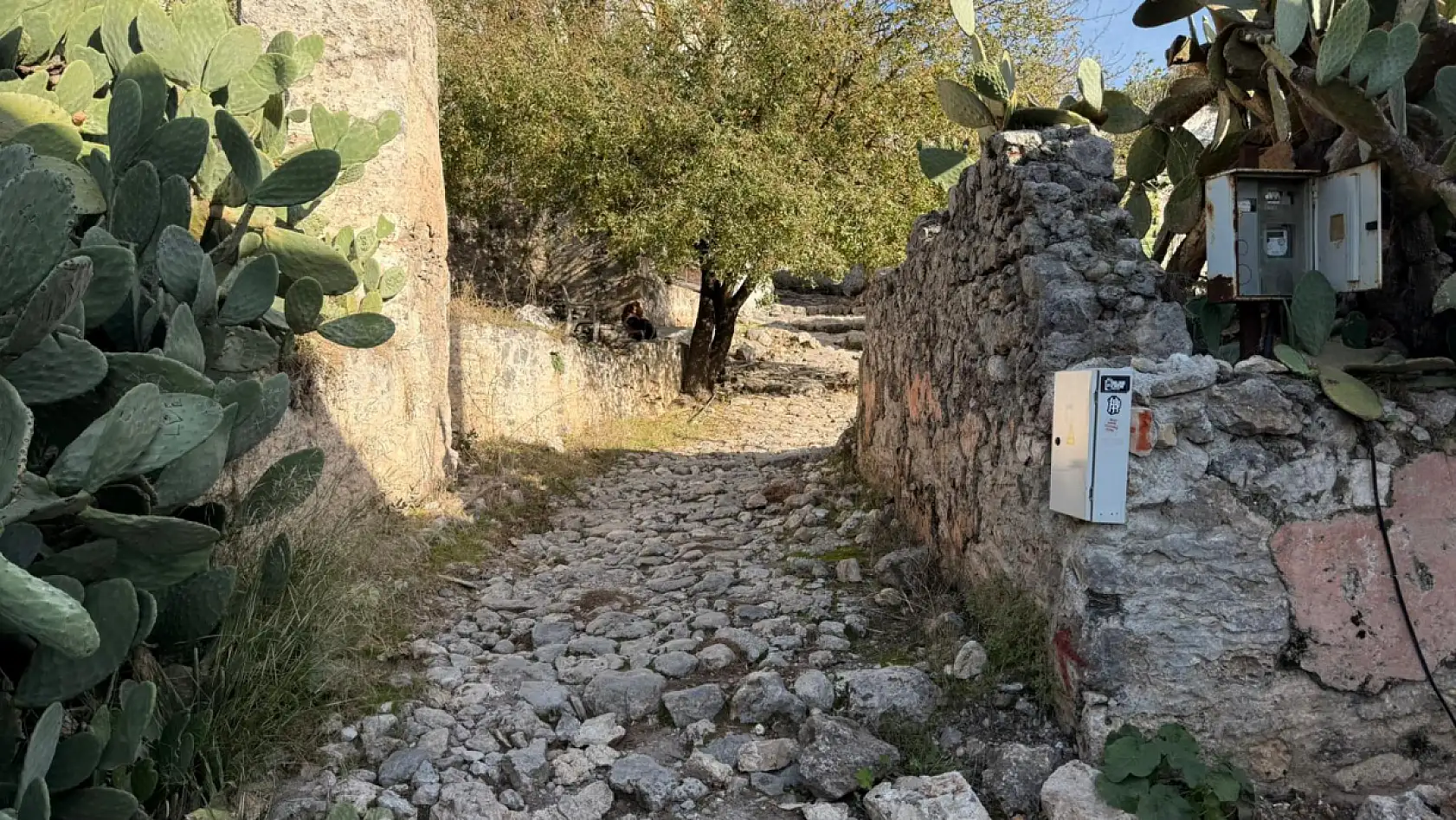 Turistler Kayaköy'de Keyifli Vakit Geçirdi