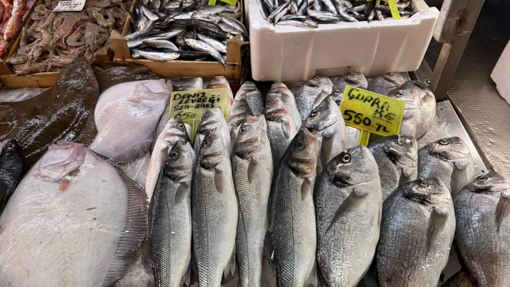 Fethiye Balık Hali'nde tezgahlarda son durum: Fiyatlar cep yakıyor!