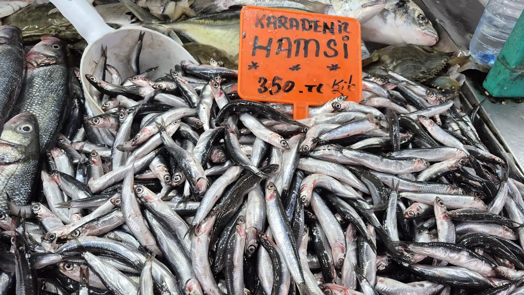 Fethiye'de tezgâhlar taze balıklarla doldu