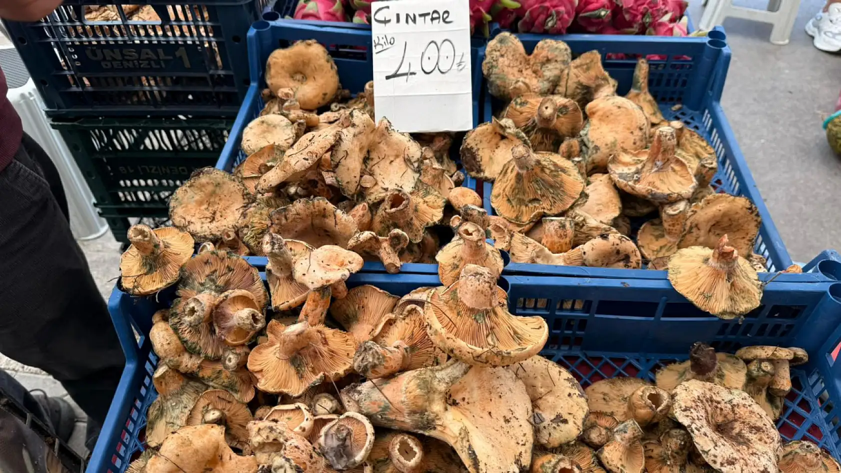 Fethiye'de çıntar sezonu: Tezgahlar renk ve aroma dolu