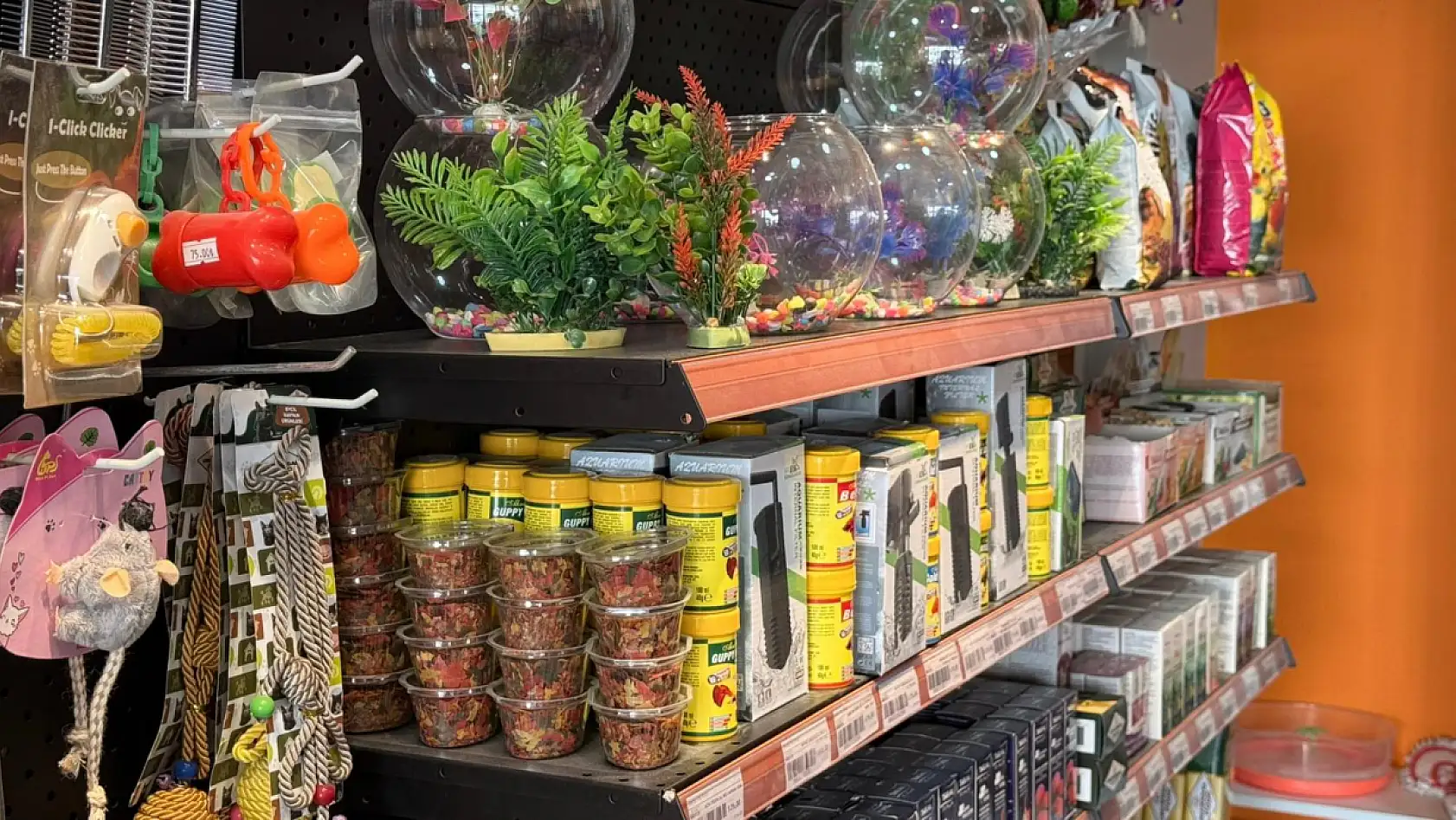 Fethiye'de Petshop sahibi uyarıyor: Sahte mama ve kalitesiz ürünlere dikkat!