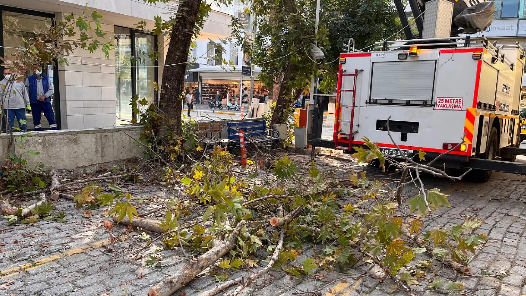 Fethiye Belediyesi Ağaç Budama Çalışmalarına Başladı
