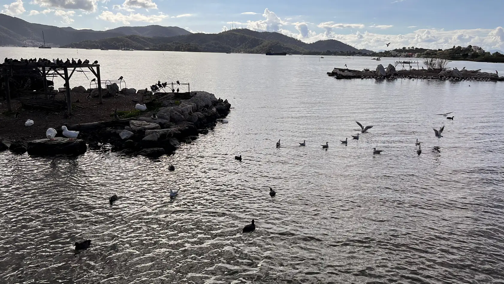 Fethiye Ördek Adası'nda hafta sonu yoğunluğu