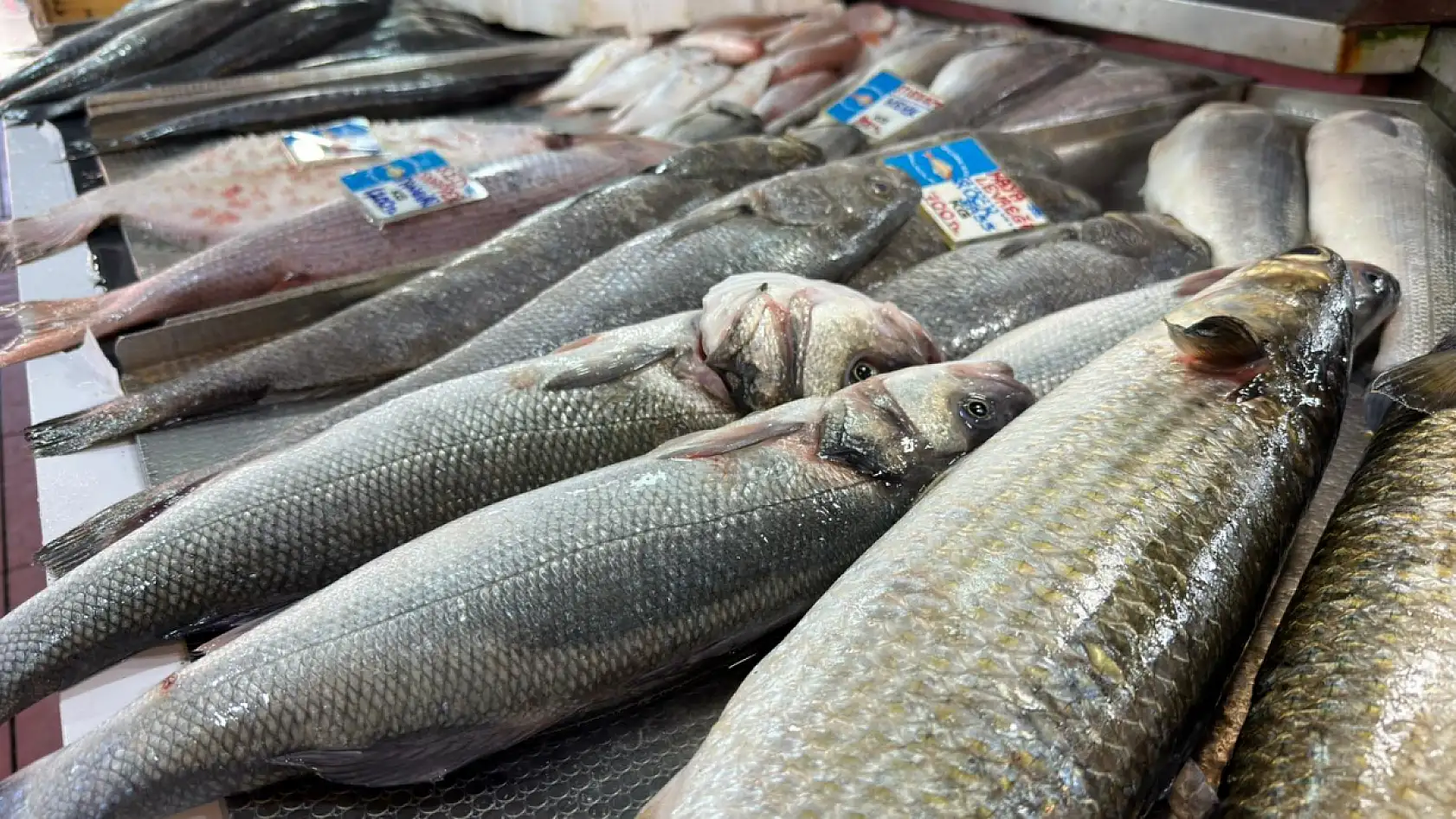 Fethiye'de balık sezonu bereketi: Tezgahların gözdesi küçük balıklar