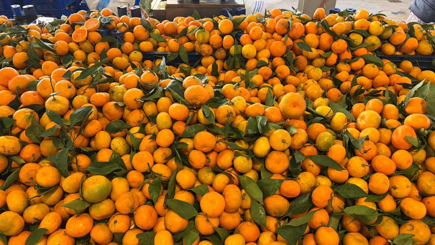 Fethiye Cumartesi Pazarı'nda meyveler renk şöleni sundu