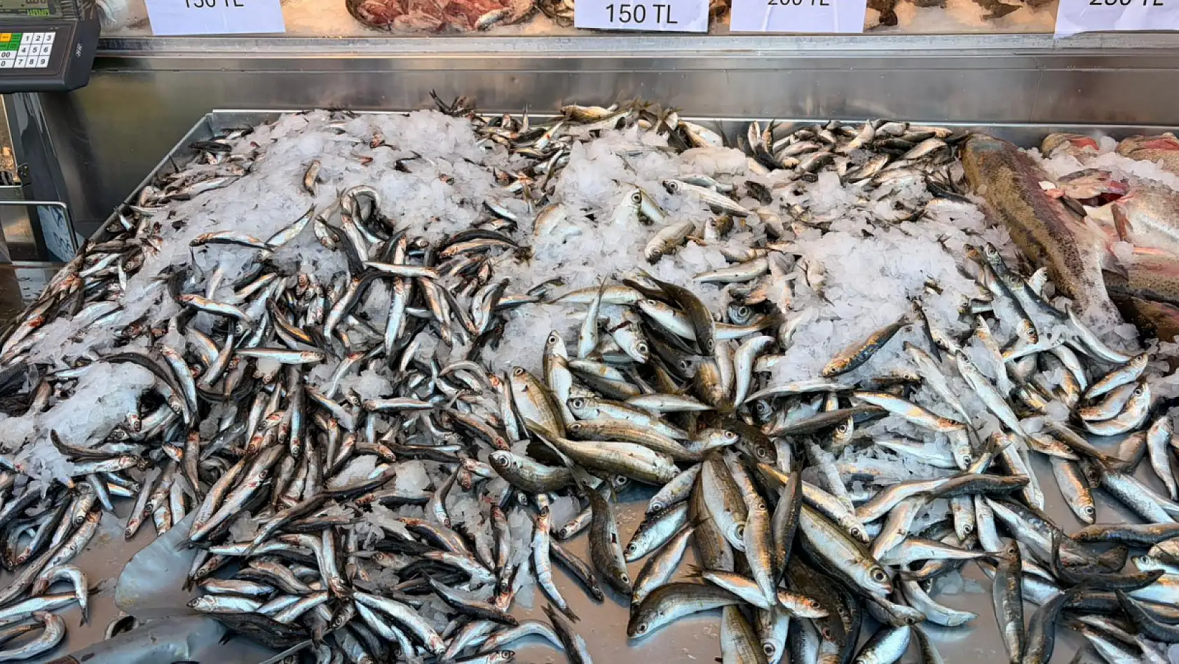 Avrupa'nın severek yediği 'füme' balık Doğan Sea Food farkıyla Fethiye'de!