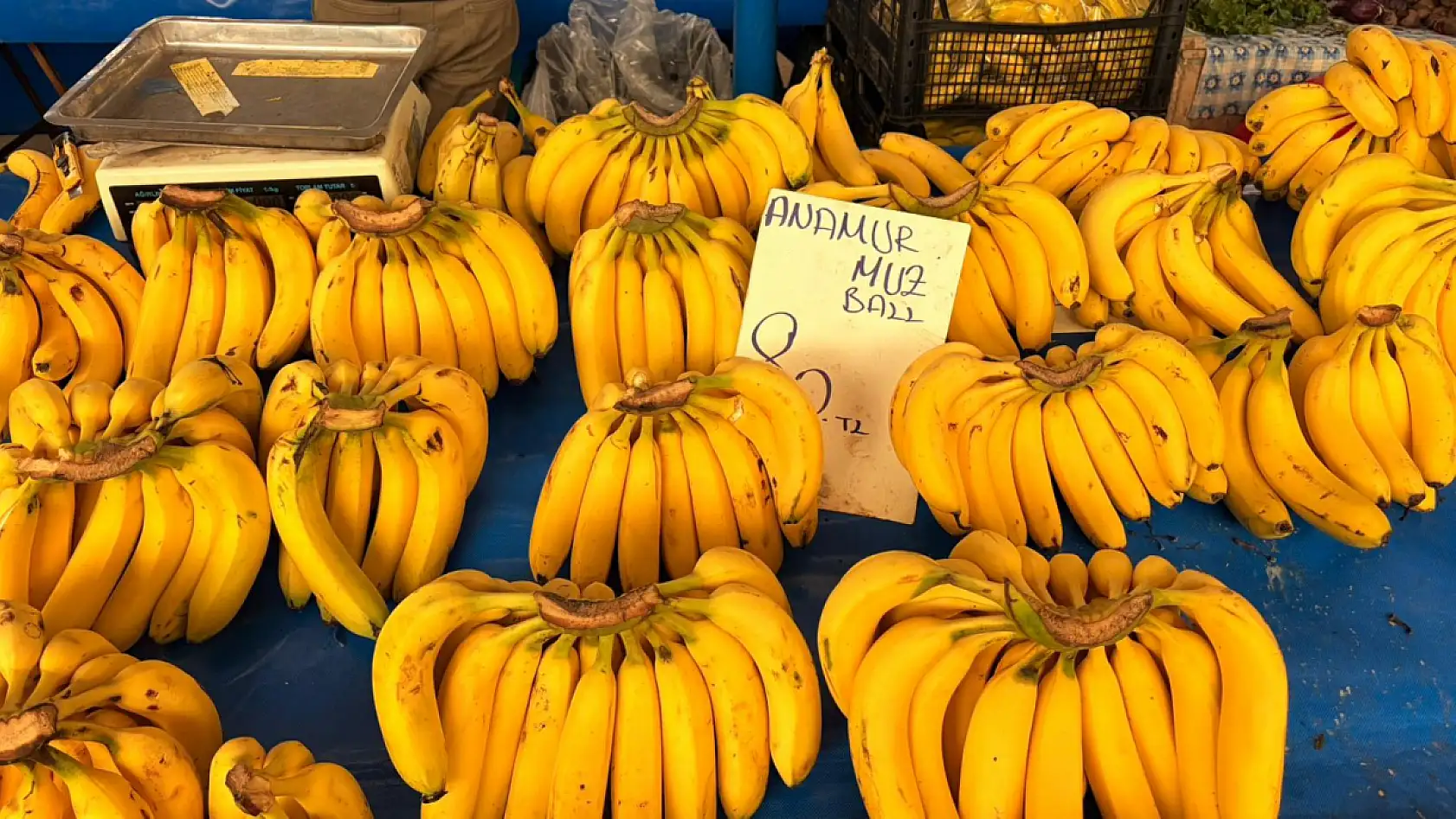 Fethiye Salı Pazarı'nda meyve fiyatları nasıl