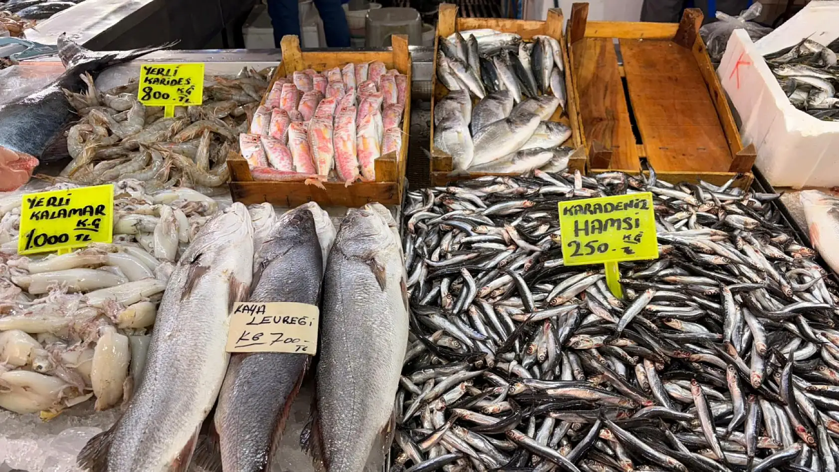 Fethiye Balık Hali'nde tezgâhlar dolu: Hamsi ucuz, Barbun cep yakıyor