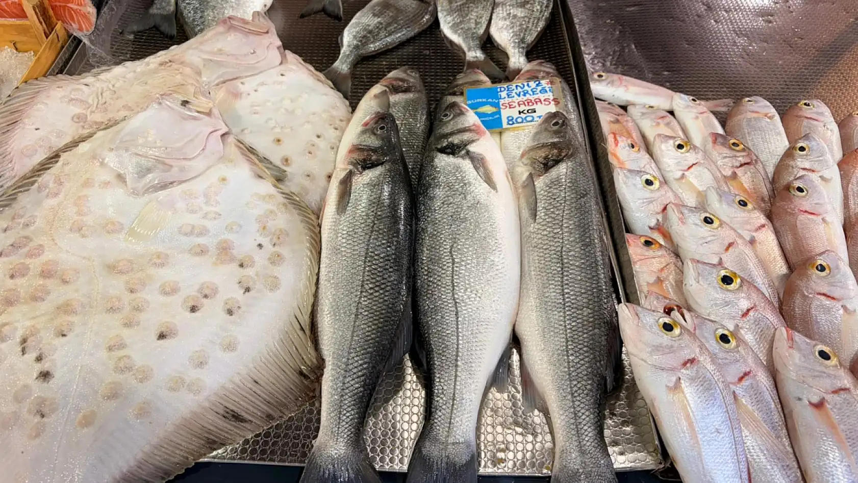 Fethiye Balık Hali'nde tezgâhlar dolu: Hamsi ucuz, Barbun cep yakıyor