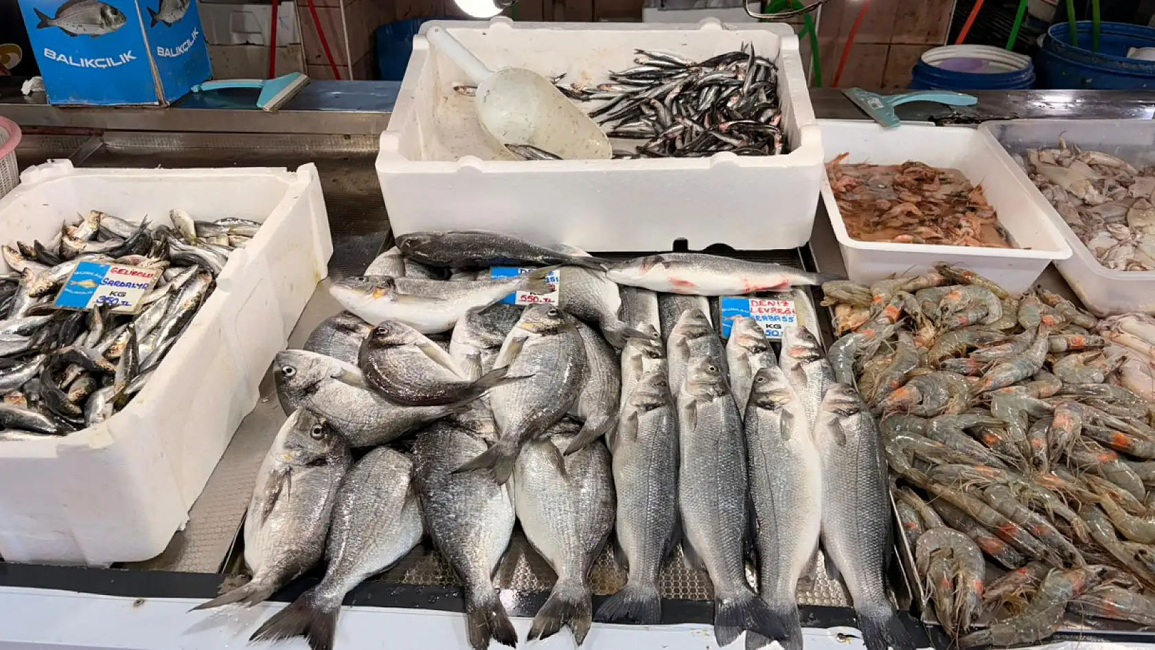Fethiye Balık Hali'nde tezgâhlar dolu: Hamsi ucuz, Barbun cep yakıyor
