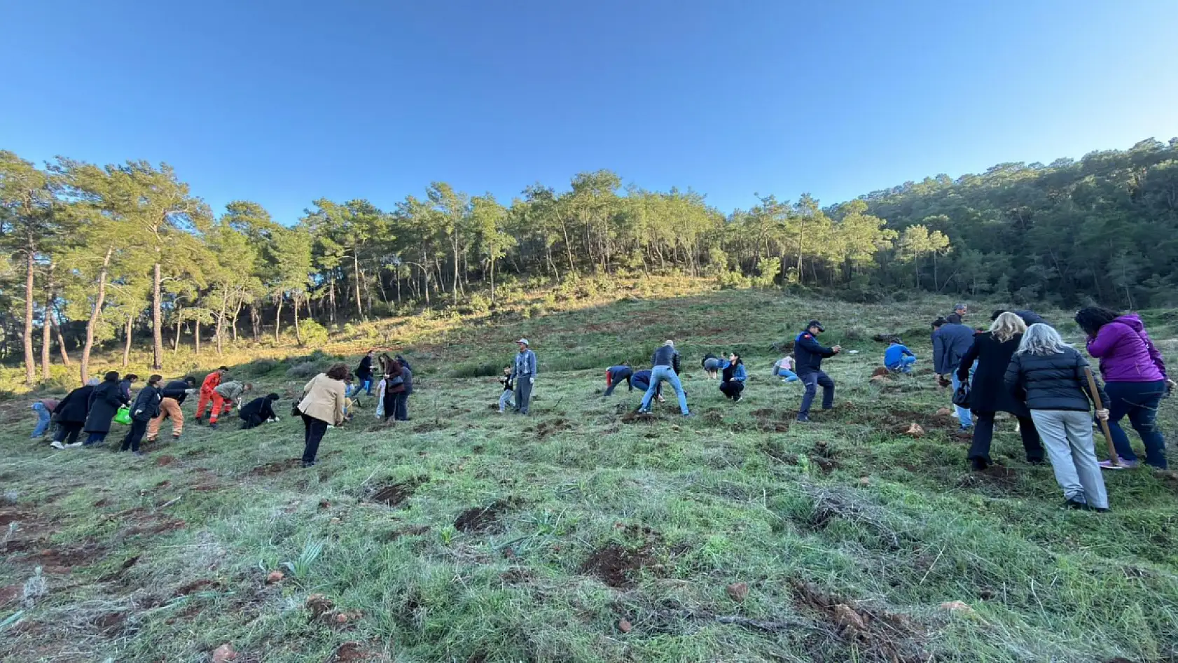Fethiye'de geleceğe nefes: İnlice'de ağaçlandırma kampanyası