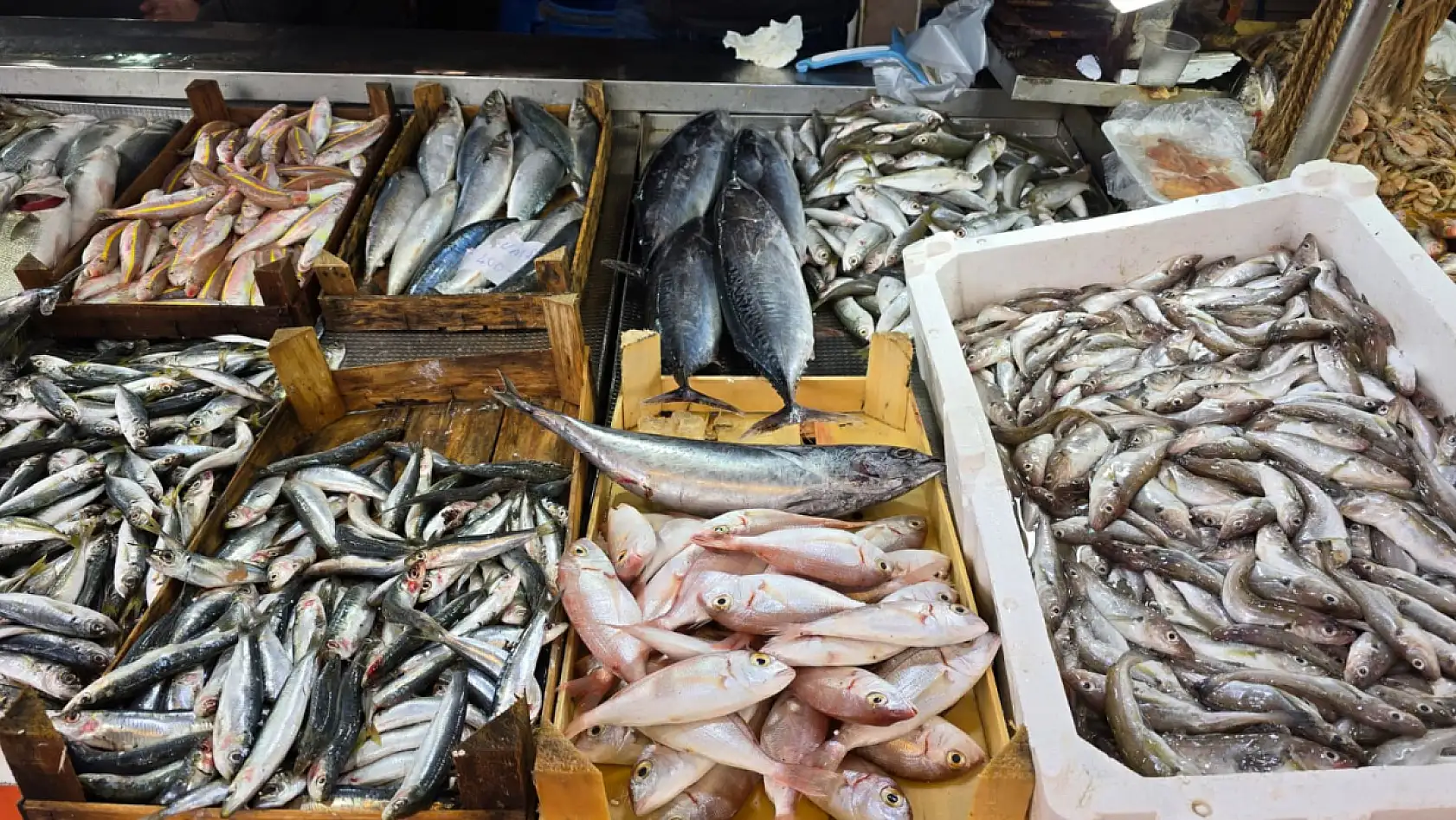 Fethiye Balık Hali'nde güncel fiyatlar: En pahalı balık 'Barbun'