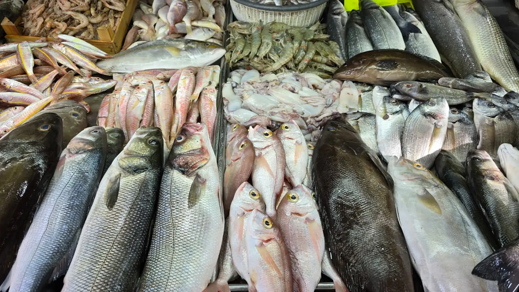 Fethiye Balık Hali'nde güncel fiyatlar: En pahalı balık 'Barbun'