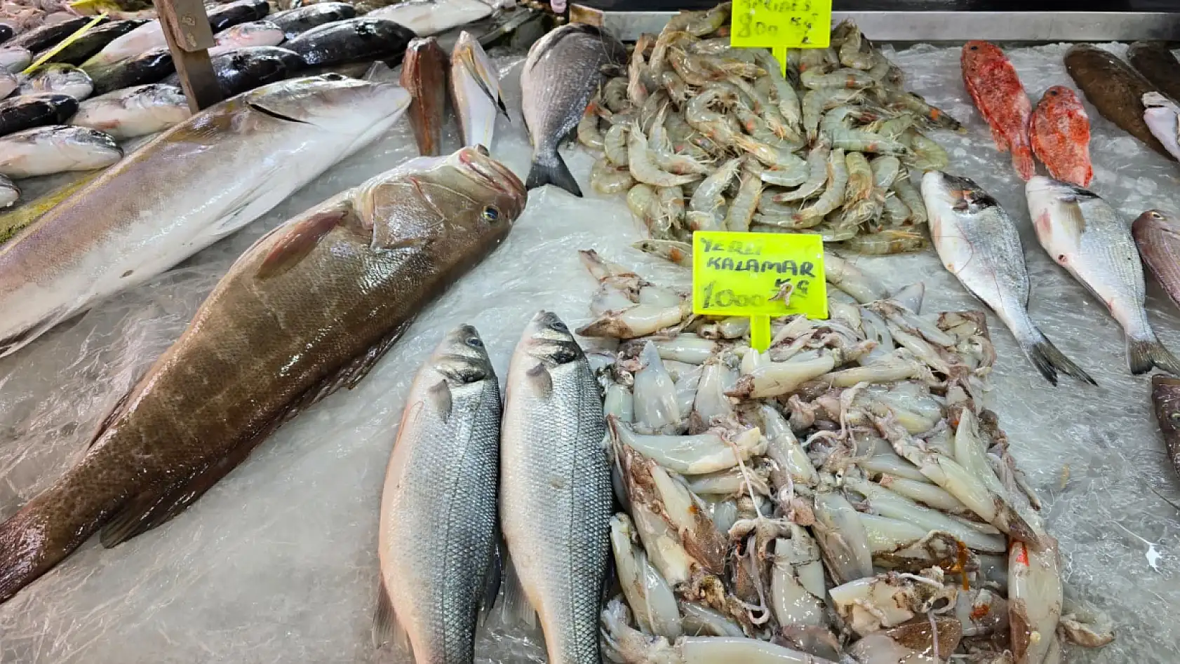Fethiye Balık Hali'nde güncel fiyatlar: En pahalı balık 'Barbun'