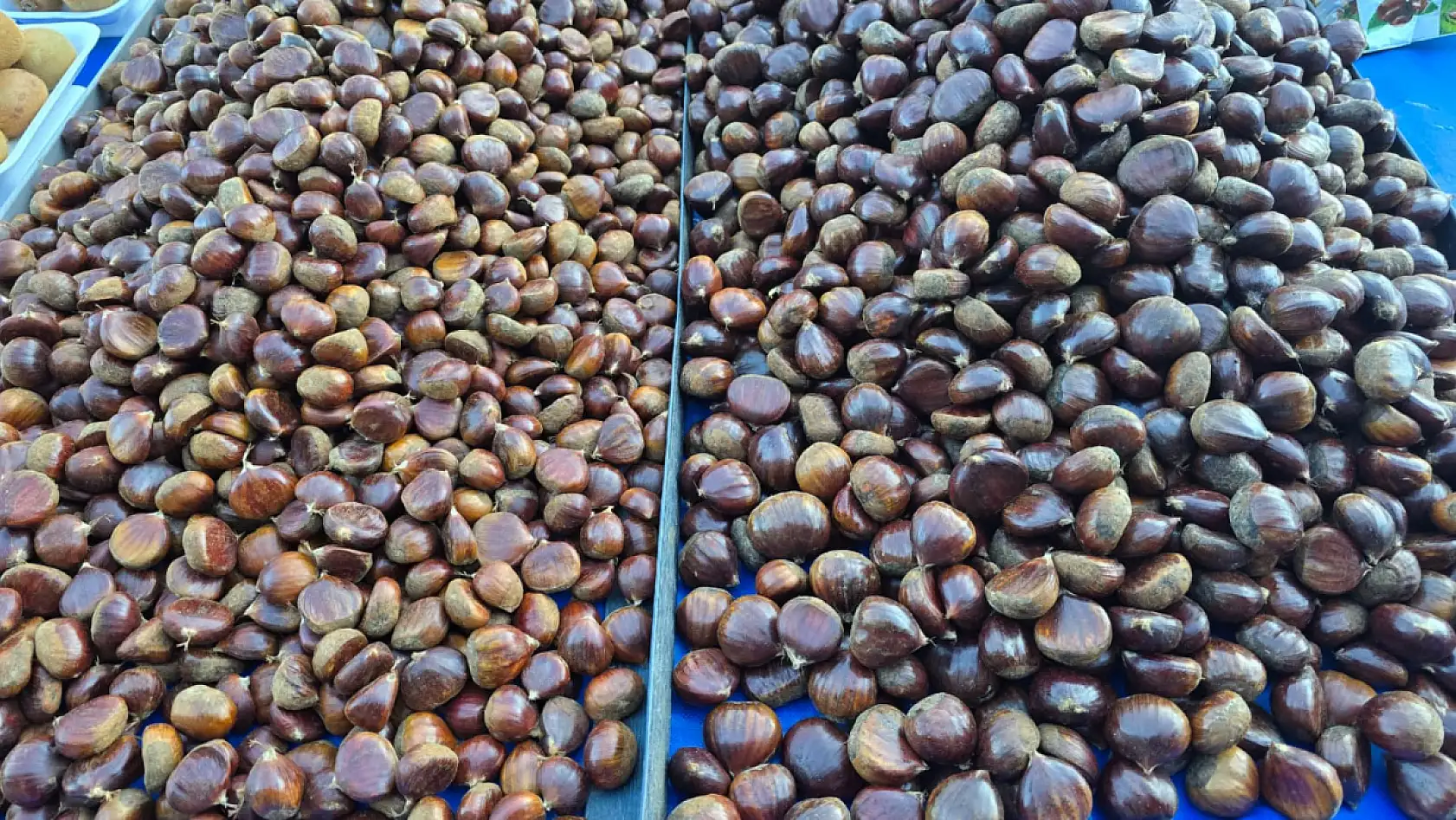 Fethiye Patlangıç'ta yeni yıl öncesi son pazar: Tezgahlar meyveyle şenlendi