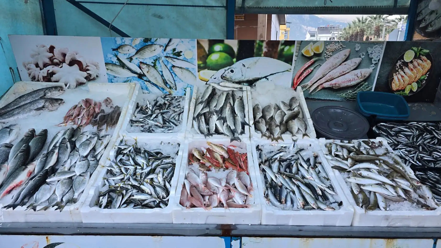 Fethiye Cumartesi Pazarı'nda Yiğit Balıkçılık tezgahında taze balık bereketi