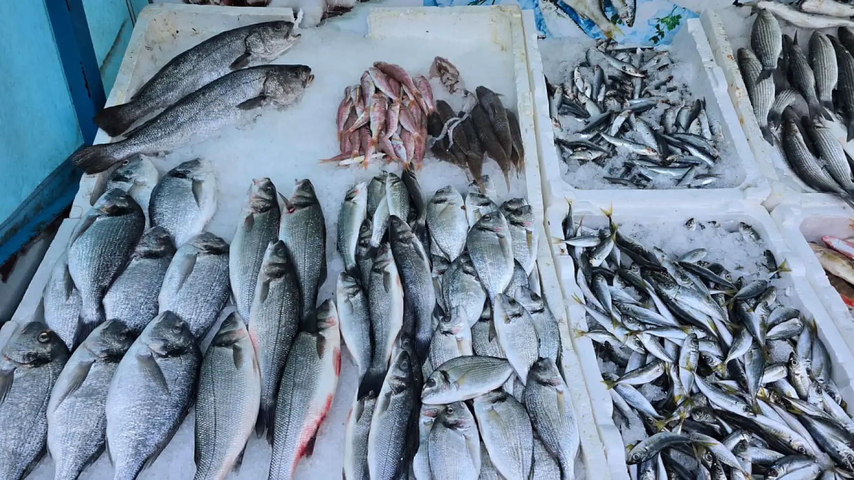 Fethiye Cumartesi Pazarı'nda Yiğit Balıkçılık tezgahında taze balık bereketi