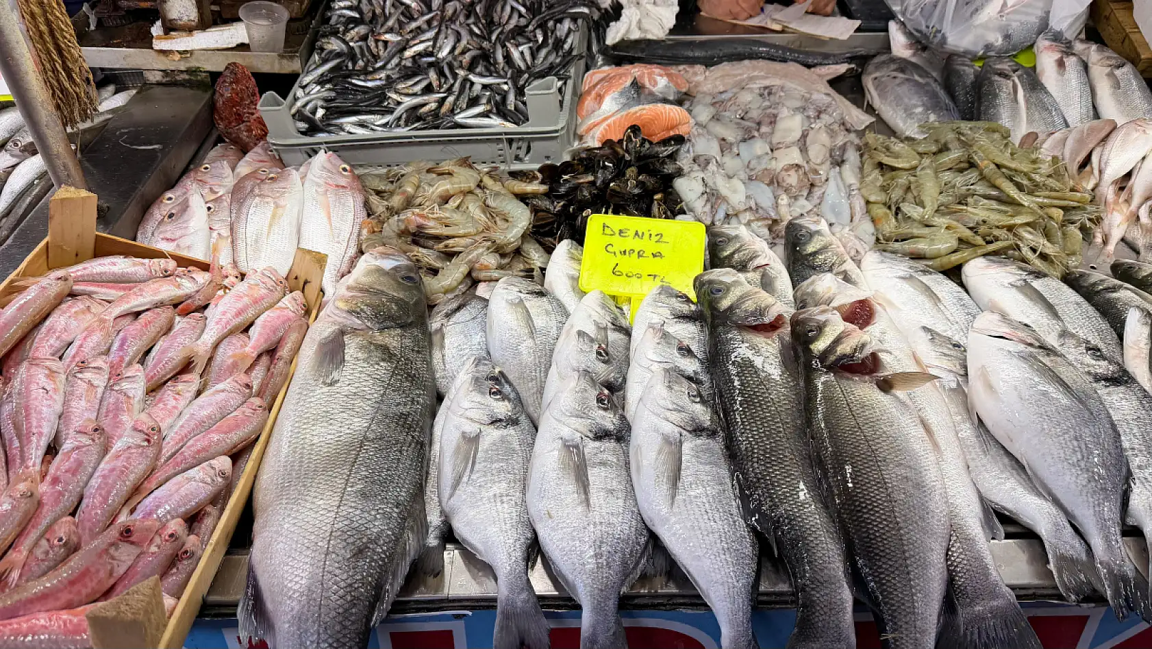 Fethiye Balık Pazarı 2026'ya hazır: Pehlivan, 'Tezgahlarda ciddi bir yoğunluk var'