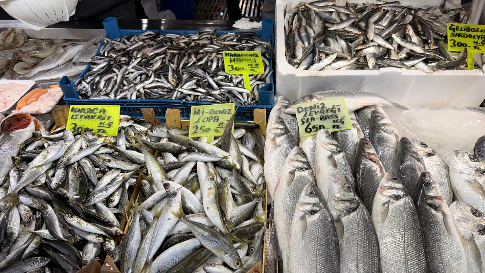 Fethiye Balık Pazarı 2026'ya hazır: Pehlivan, 'Tezgahlarda ciddi bir yoğunluk var'