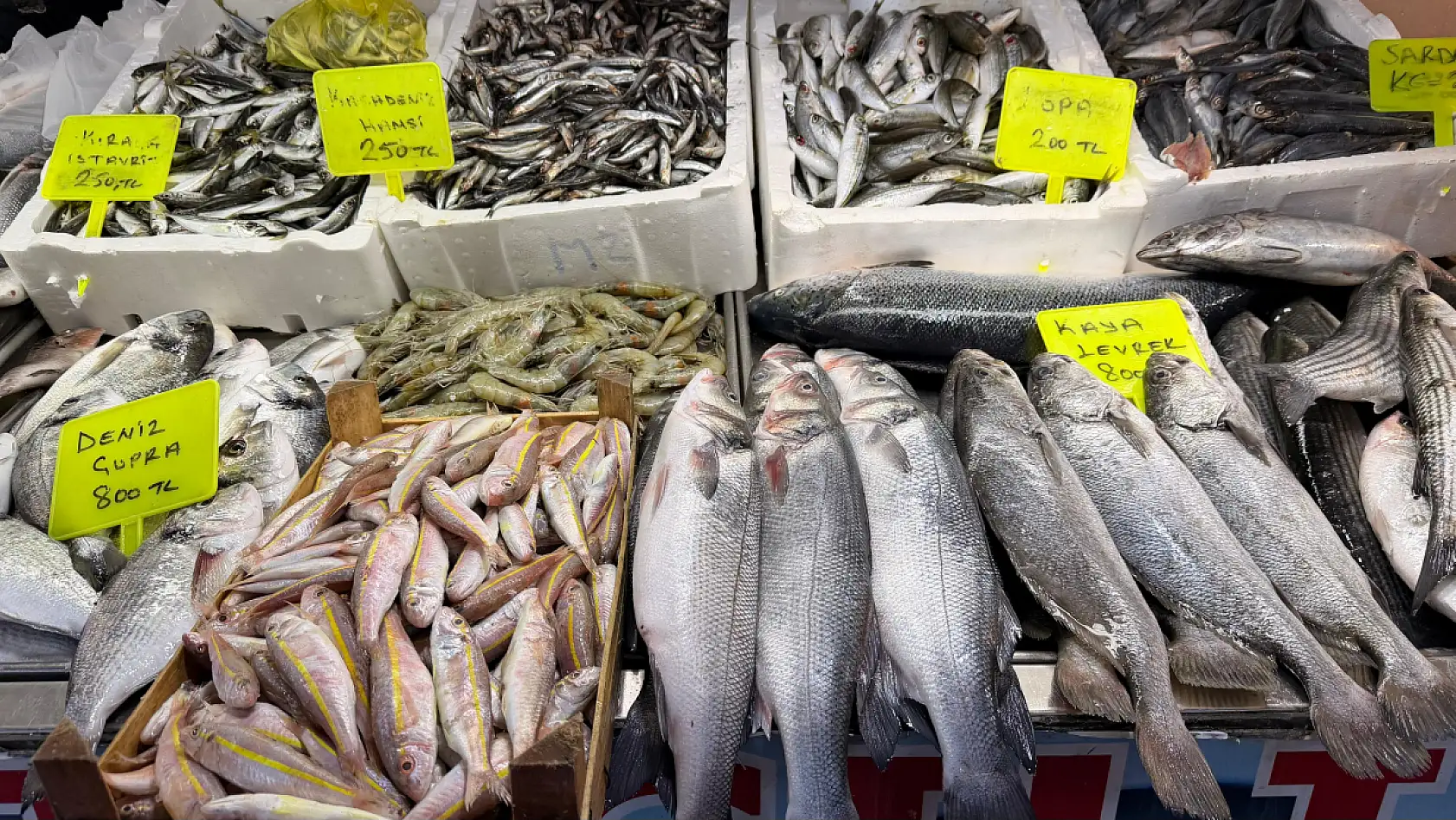 Fethiye Balık Pazarı 2026'ya hazır: Pehlivan, 'Tezgahlarda ciddi bir yoğunluk var'