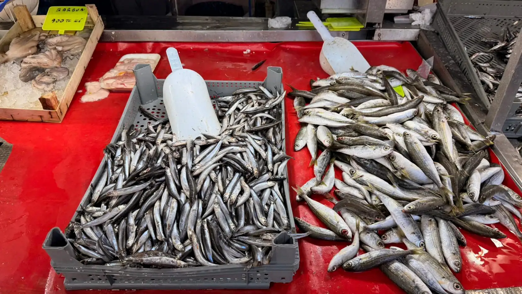Yeni yılın ilk gününde tezgahlardaki balık fiyatları