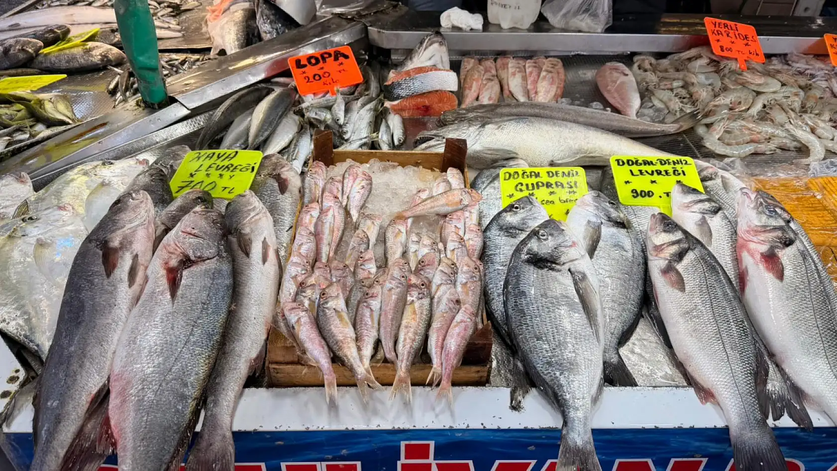 Yeni yılın ilk gününde tezgahlardaki balık fiyatları